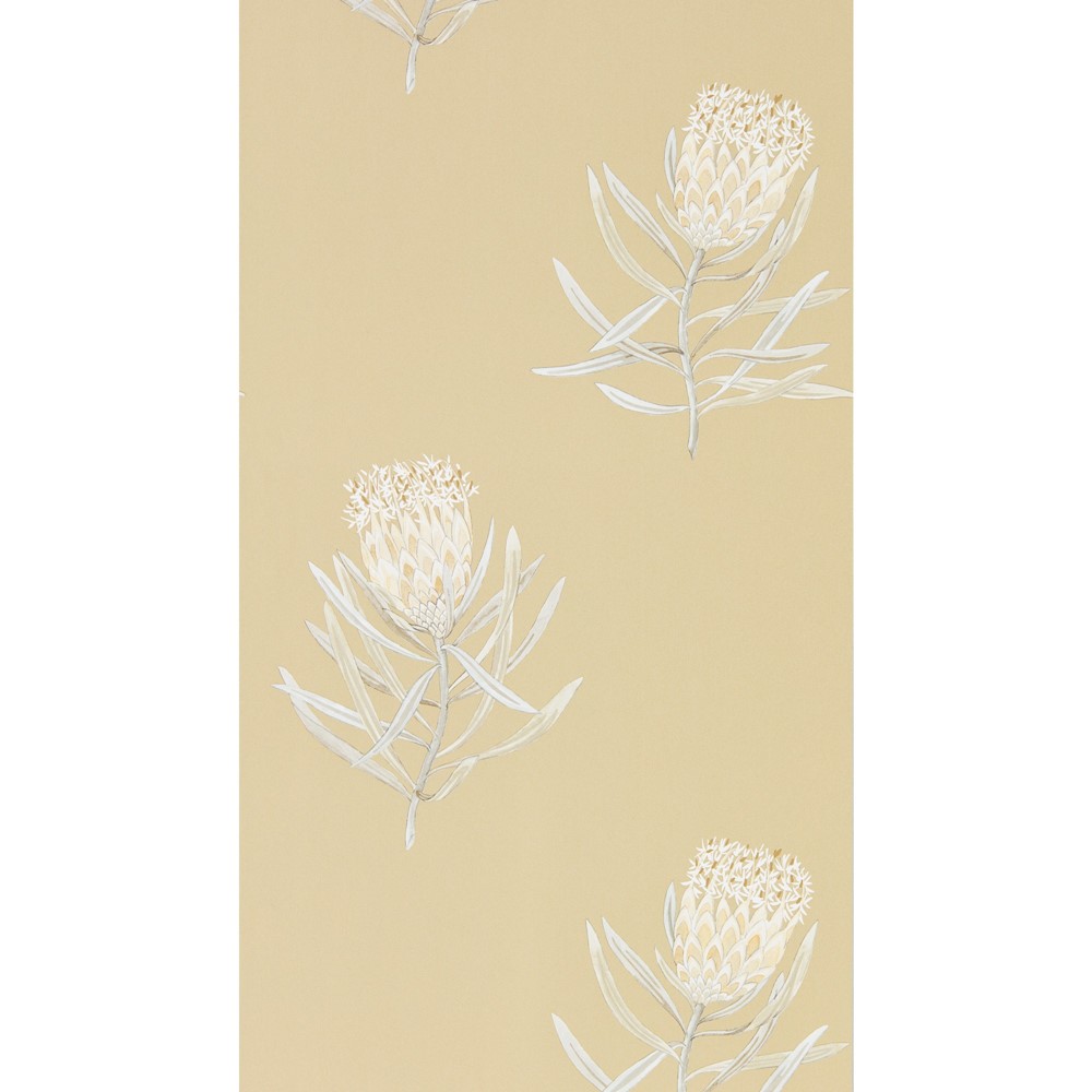 Protea Flower Wallpaper 216331 by Sanderson in Sepia Champagne